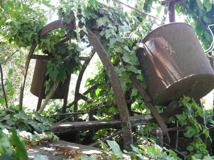 הוילה וילה נובה דה פויארס Atlantic Nest Poiares מראה חיצוני תמונה